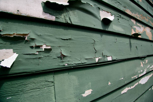 Reliable Mango, FL Junk Removal Solutions