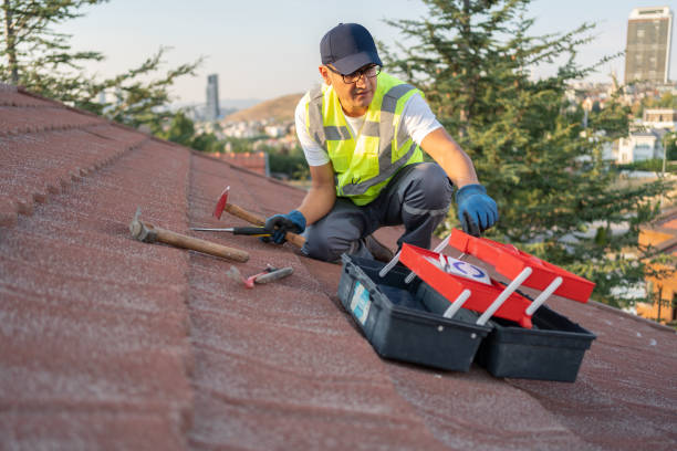 Best Carpet Removal and Disposal  in Mango, FL